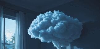 Sleep Quality and Cognitive Function: New Findings for Modern Lifestyles