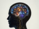 The Gut-Brain Axis: How Microbiota Influence Mental and Physical Health
