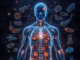 Inflammation and Aging: How Diet and Lifestyle Reduce Chronic Inflammation (Inflammaging)