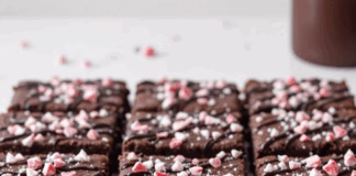 Low-Carb Chocolate Peppermint Protein Brownies