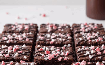 Low-Carb Chocolate Peppermint Protein Brownies